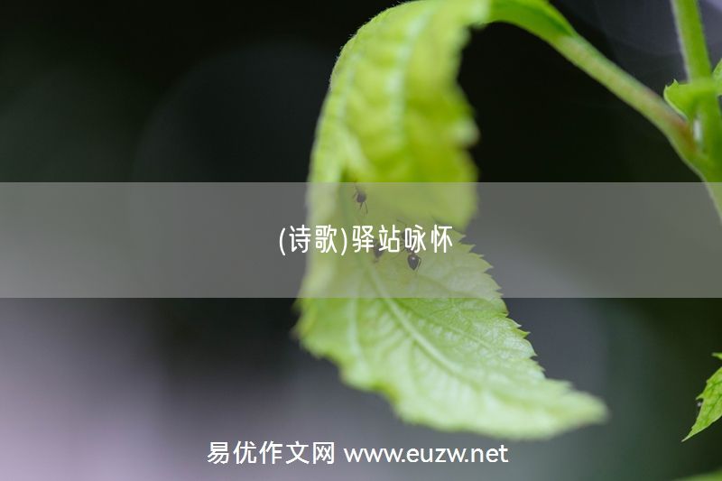 易優(yōu)作文網(wǎng)——(詩歌)驛站詠懷