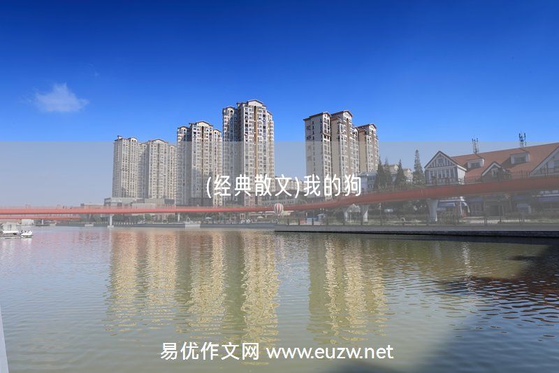 易優(yōu)作文網(wǎng)——(經(jīng)典散文)我的狗