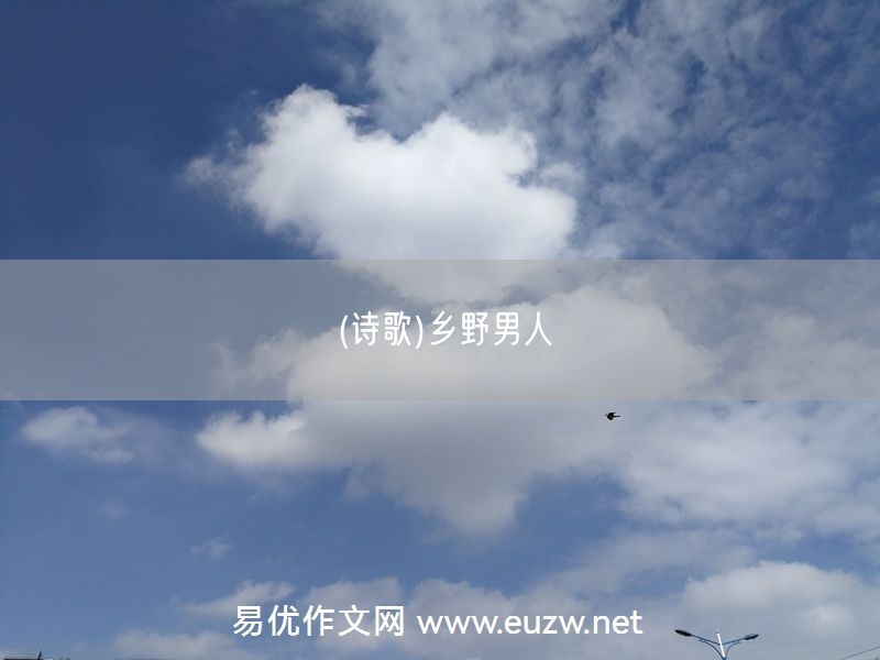 易優(yōu)作文網(wǎng)——(詩歌)鄉(xiāng)野男人