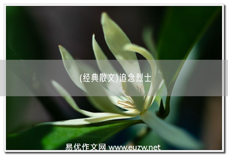 易優(yōu)作文網(wǎng)——(經(jīng)典散文)追念烈士