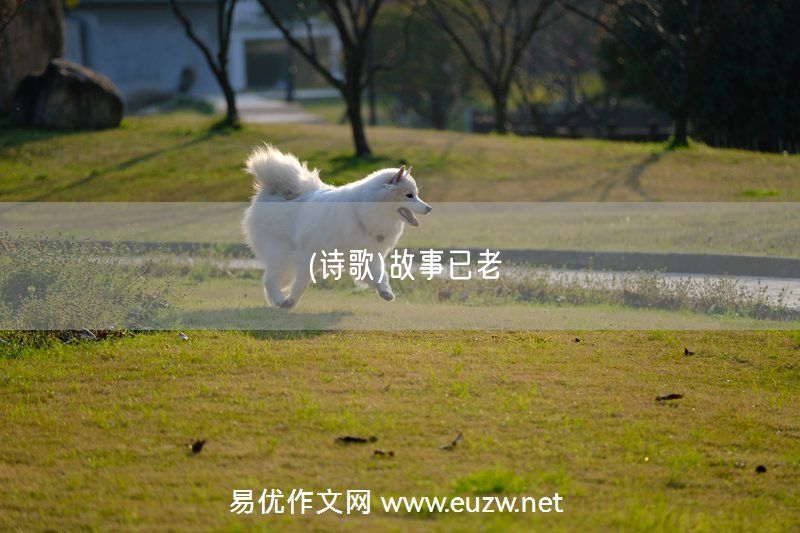 易優(yōu)作文網(wǎng)——(詩歌)故事已老