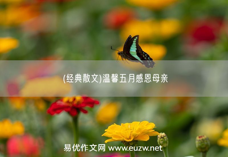 易優(yōu)作文網——(經典散文)溫馨五月感恩母親