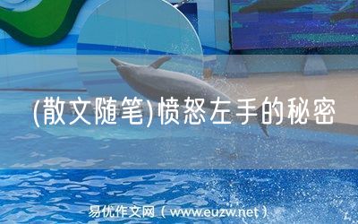 易優(yōu)作文網(wǎng)——(散文隨筆)憤怒左手的秘密