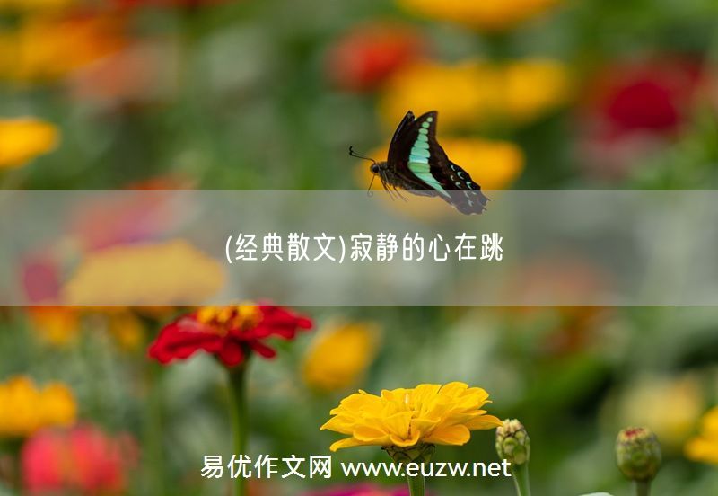 易優(yōu)作文網(wǎng)——(經(jīng)典散文)寂靜的心在跳