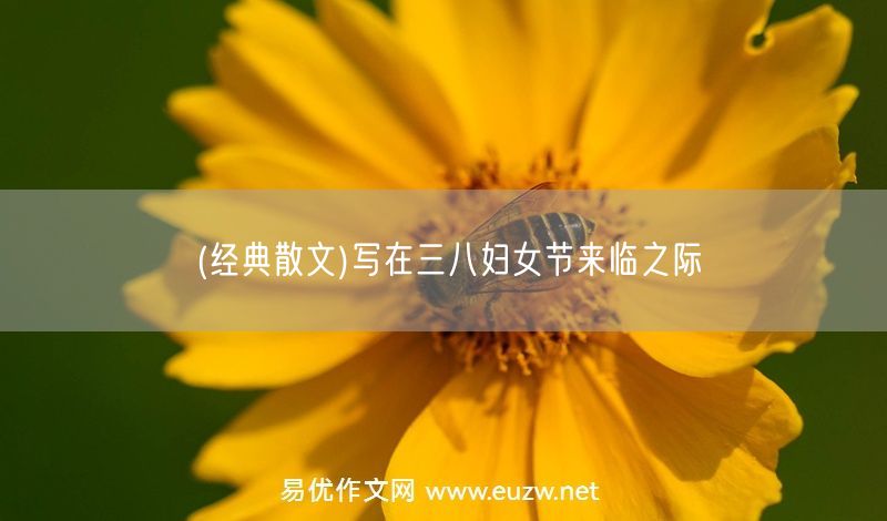 易優(yōu)作文網(wǎng)——(經(jīng)典散文)寫在三八婦女節(jié)來臨之際