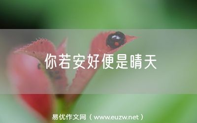 易優(yōu)作文網(wǎng)——你若安好便是晴天