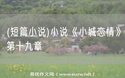 易優(yōu)作文網(wǎng)——(短篇小說)小說《小城戀情》第十九章