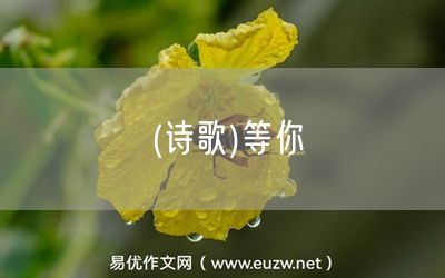 易優(yōu)作文網(wǎng)——(詩(shī)歌)等你