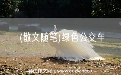易優(yōu)作文網(wǎng)——(散文隨筆)綠色公交車