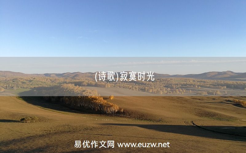 易優(yōu)作文網(wǎng)——(詩歌)寂寞時光