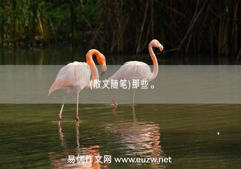 易優(yōu)作文網(wǎng)——(散文隨筆)那些。