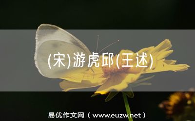 易優(yōu)作文網(wǎng)——(宋)游虎邱(王述)