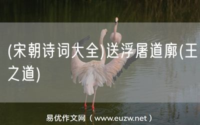 易優(yōu)作文網(wǎng)——(宋朝詩詞大全)送浮屠道廓(王之道)