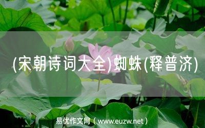 易優(yōu)作文網(wǎng)——(宋朝詩(shī)詞大全)蜘蛛(釋普濟(jì))