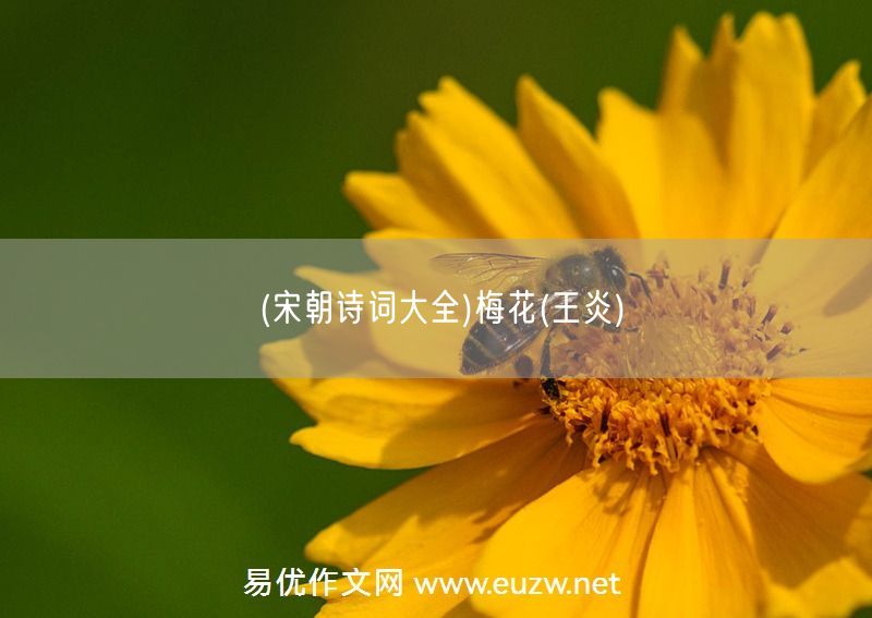 易優(yōu)作文網(wǎng)——(宋朝詩詞大全)梅花(王炎)