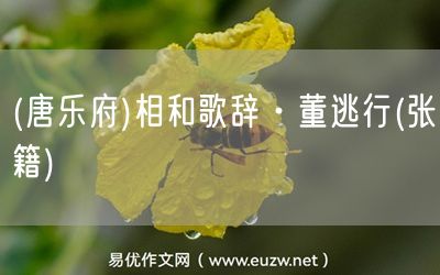 易優(yōu)作文網(wǎng)——(唐樂府)相和歌辭·董逃行(張籍)