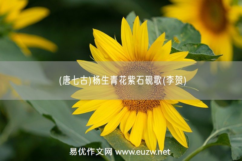 易優(yōu)作文網(wǎng)——(唐七古)楊生青花紫石硯歌(李賀)