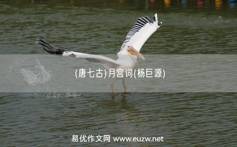 易優(yōu)作文網(wǎng)——(唐七古)月宮詞(楊巨源)