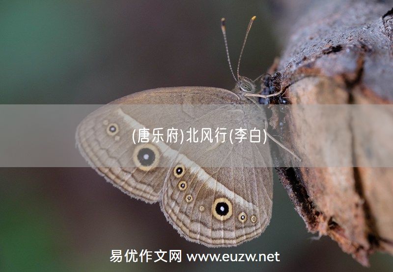 易優(yōu)作文網(wǎng)——(唐樂府)北風(fēng)行(李白)