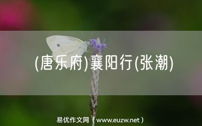 易優(yōu)作文網(wǎng)——(唐樂府)襄陽行(張潮)