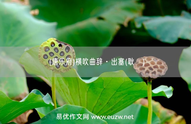 易優(yōu)作文網(wǎng)——(唐樂府)橫吹曲辭·出塞(耿湋)