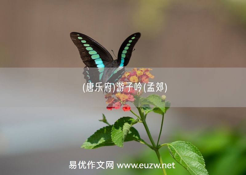 易優(yōu)作文網(wǎng)——(唐樂(lè)府)游子吟(孟郊)