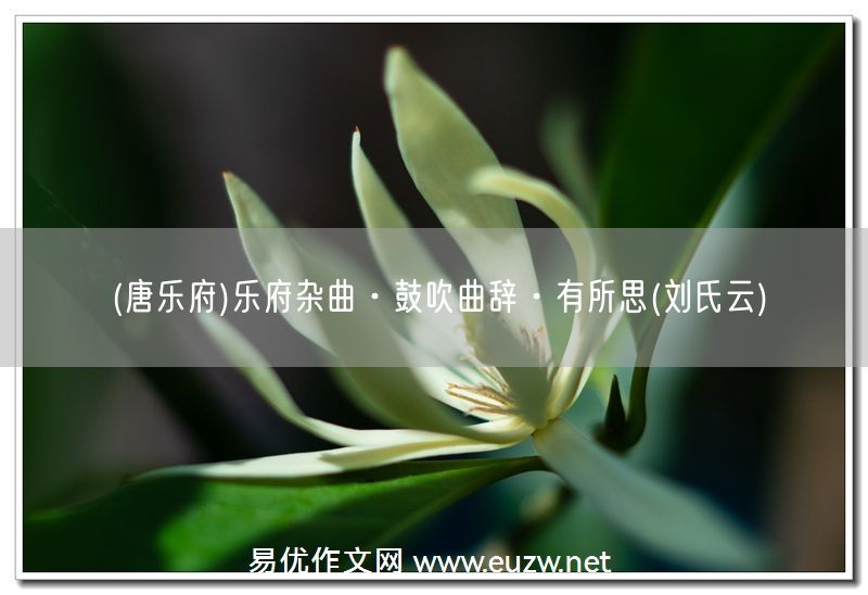 易優(yōu)作文網(wǎng)——(唐樂府)樂府雜曲·鼓吹曲辭·有所思(劉氏云)