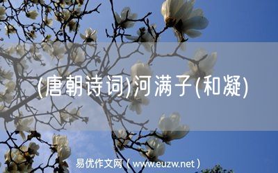 易優(yōu)作文網(wǎng)——(唐朝詩(shī)詞)河滿子(和凝)