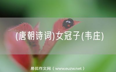 易優(yōu)作文網(wǎng)——(唐朝詩詞)女冠子(韋莊)
