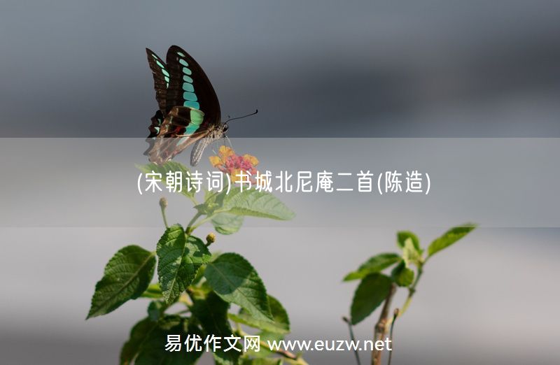 易優(yōu)作文網(wǎng)——(宋朝詩(shī)詞)書(shū)城北尼庵二首(陳造)