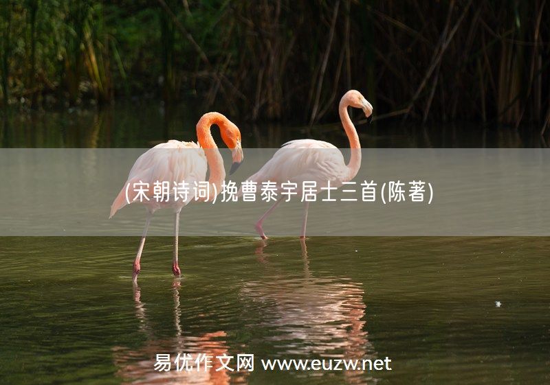 易優(yōu)作文網(wǎng)——(宋朝詩詞)挽曹泰宇居士三首(陳著)