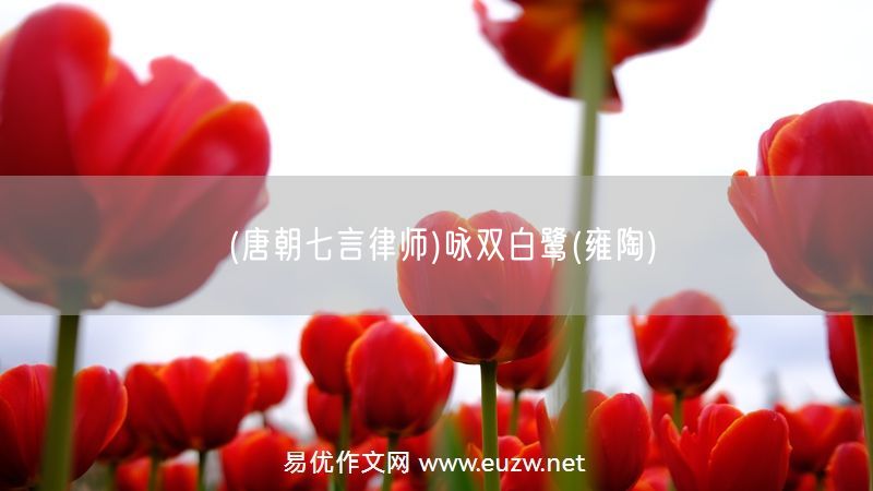 易優(yōu)作文網(wǎng)——(唐朝七言律師)詠雙白鷺(雍陶)