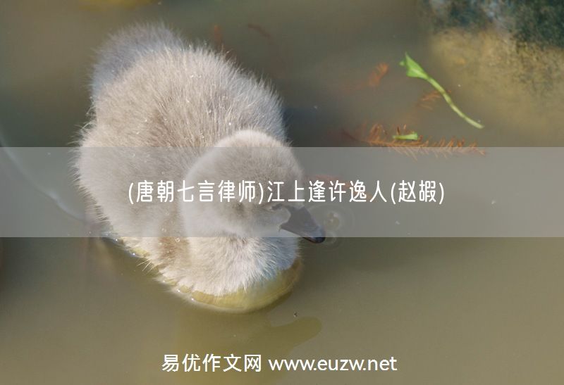 易優(yōu)作文網(wǎng)——(唐朝七言律師)江上逢許逸人(趙嘏)