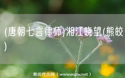 易優(yōu)作文網(wǎng)——(唐朝七言律師)湘江曉望(熊皎)