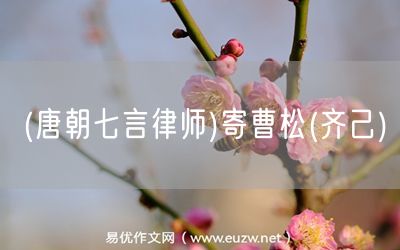 易優(yōu)作文網(wǎng)——(唐朝七言律師)寄曹松(齊己)