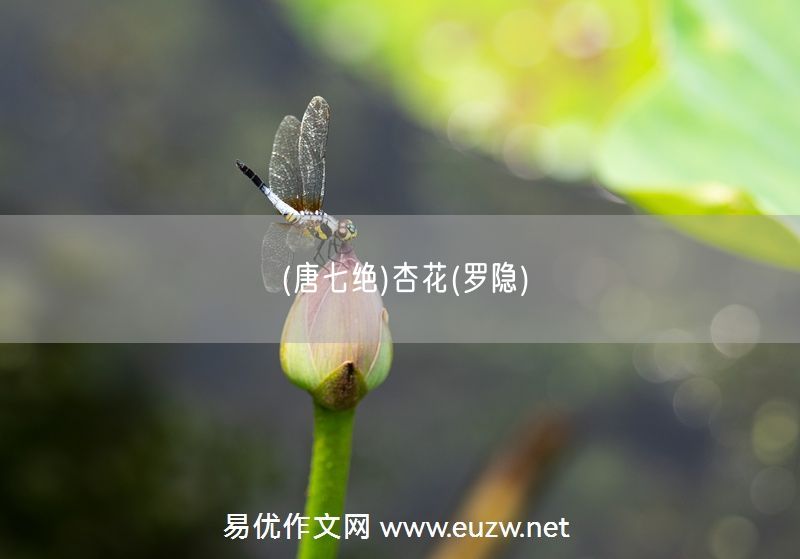 易優(yōu)作文網(wǎng)——(唐七絕)杏花(羅隱)