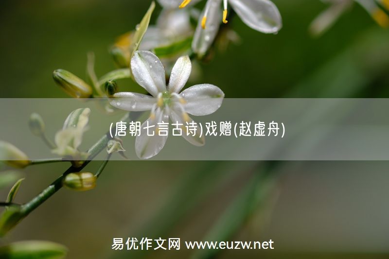 易優(yōu)作文網(wǎng)——(唐朝七言古詩)戲贈(zèng)(趙虛舟)