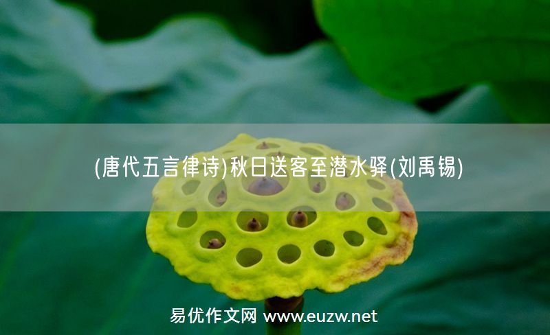 易優(yōu)作文網(wǎng)——(唐代五言律詩)秋日送客至潛水驛(劉禹錫)