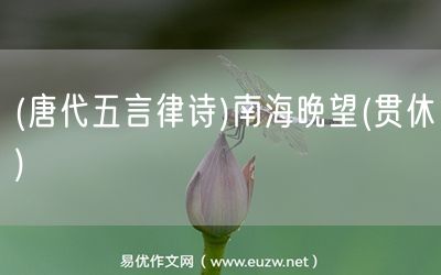 易優(yōu)作文網(wǎng)——(唐代五言律詩)南海晚望(貫休)