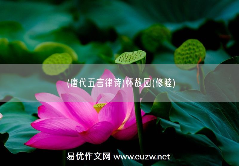 易優(yōu)作文網(wǎng)——(唐代五言律詩(shī))懷故園(修睦)