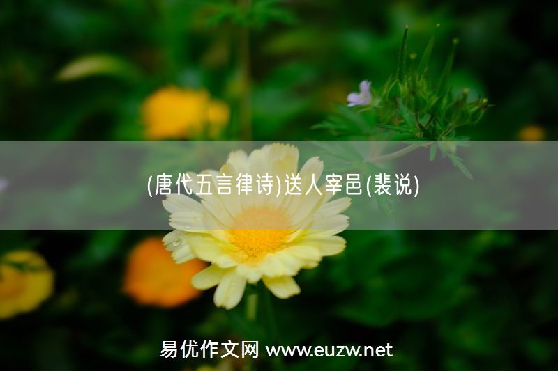 易優(yōu)作文網(wǎng)——(唐代五言律詩(shī))送人宰邑(裴說(shuō))