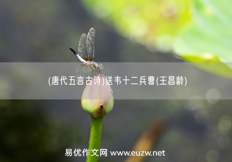 易優(yōu)作文網(wǎng)——(唐代五言古詩)送韋十二兵曹(王昌齡)
