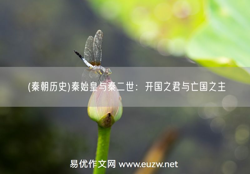 易優(yōu)作文網——(秦朝歷史)秦始皇與秦二世:開國之君與亡國之主