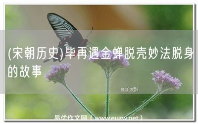 易優(yōu)作文網(wǎng)——(宋朝歷史)畢再遇金蟬脫殼妙法脫身的故事