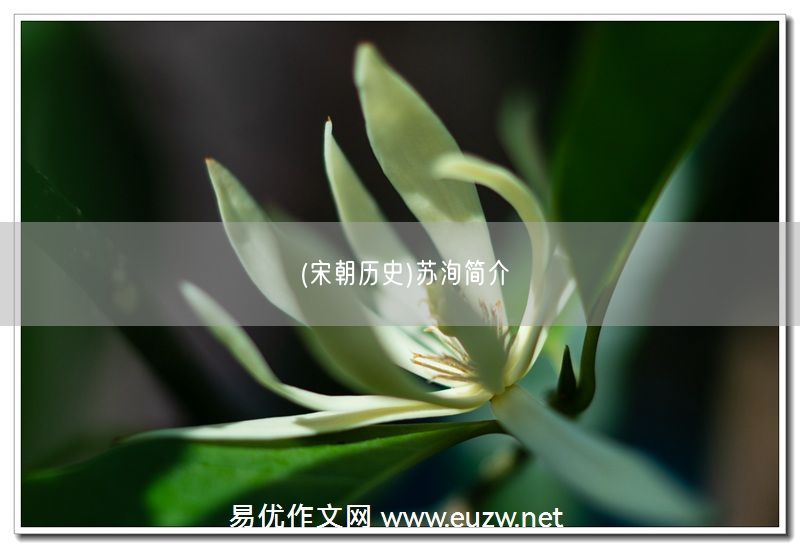 易優(yōu)作文網(wǎng)——(宋朝歷史)蘇洵簡介