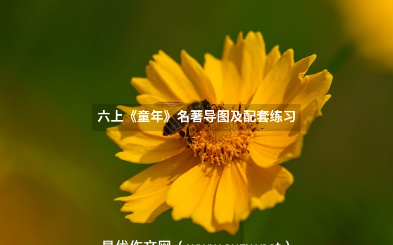 易優(yōu)作文網(wǎng)——六上《童年》名著導(dǎo)圖及配套練習(xí)