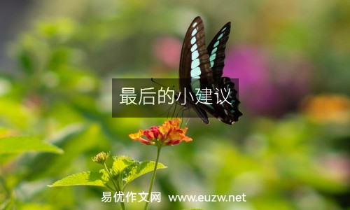 最后的小建議