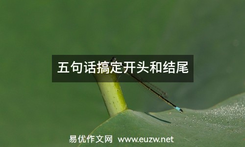 五句話搞定開頭和結(jié)尾