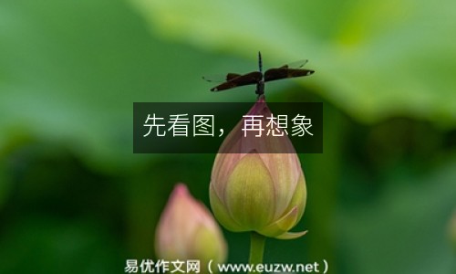 先看圖，再想象
