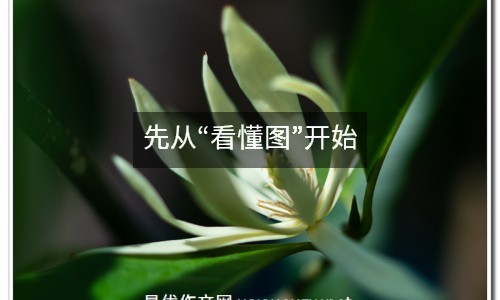 先從“看懂圖”開(kāi)始